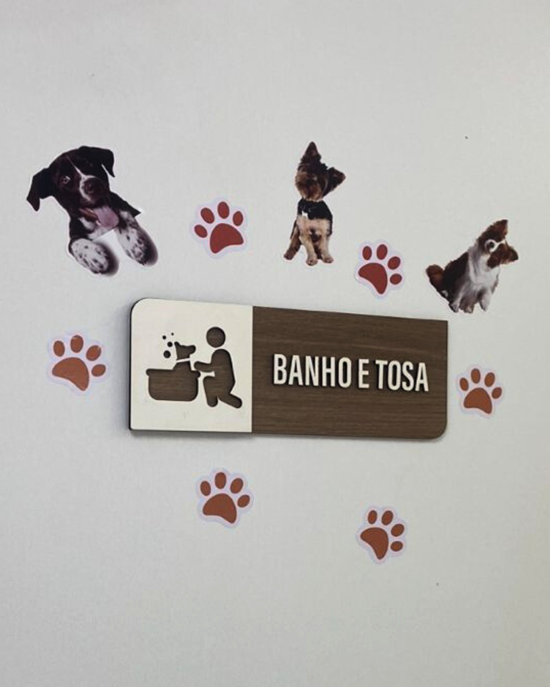 Banho e tosa na Patinhas Contentes